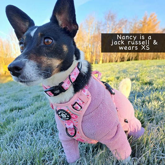 Groovy Paws Collar - Peace, Love & Disco