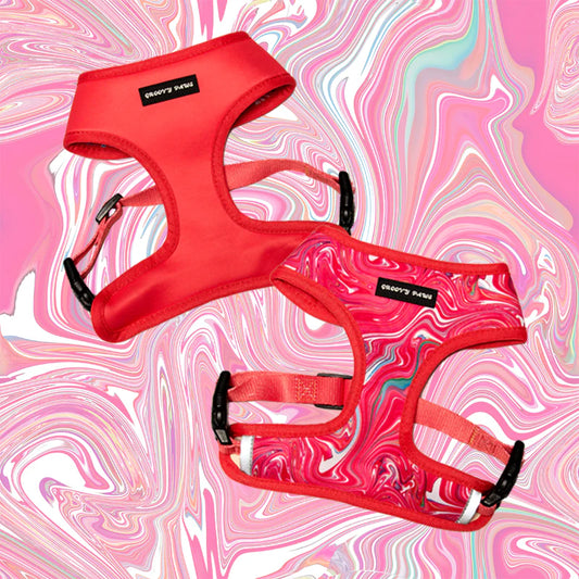 Groovy Paws Reversible Harness Psychedelic Pooch