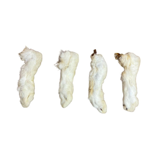 Rabbit feet