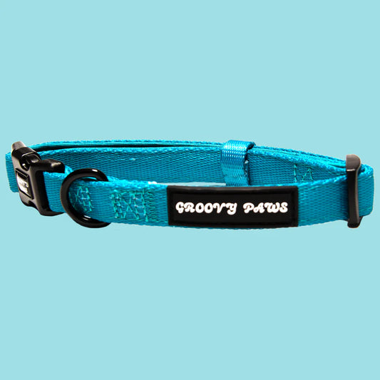 Groovy Paws Collar - Tealin' Good