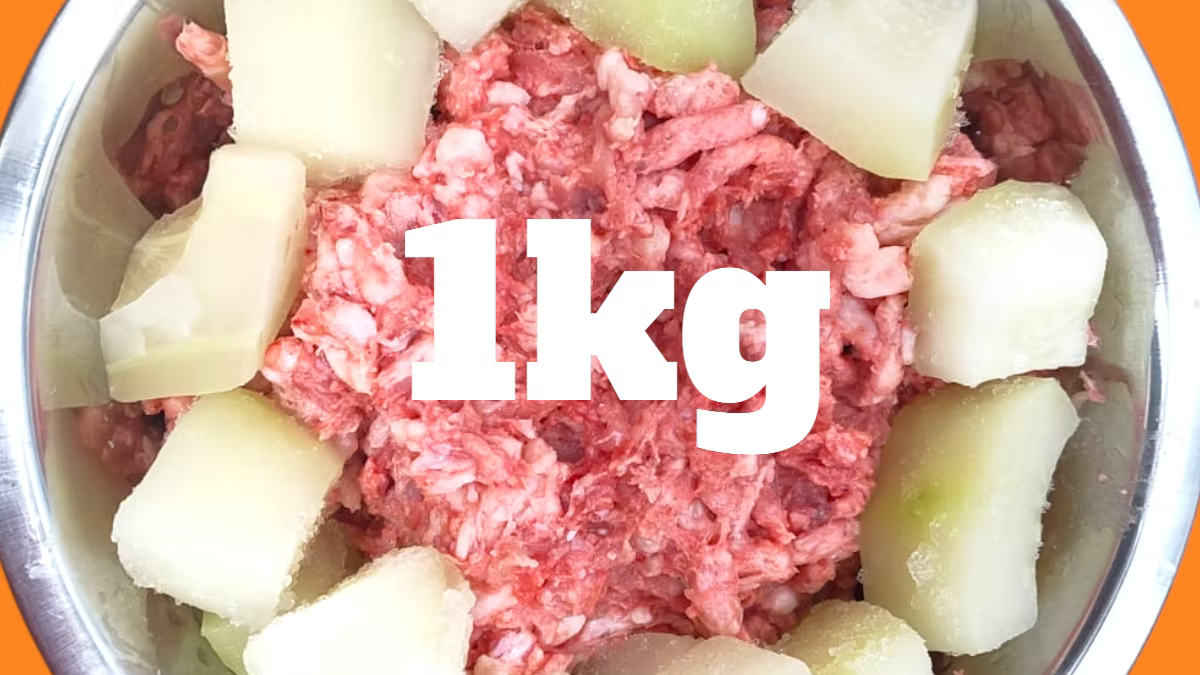 chicken and papaya northern raw 1kg