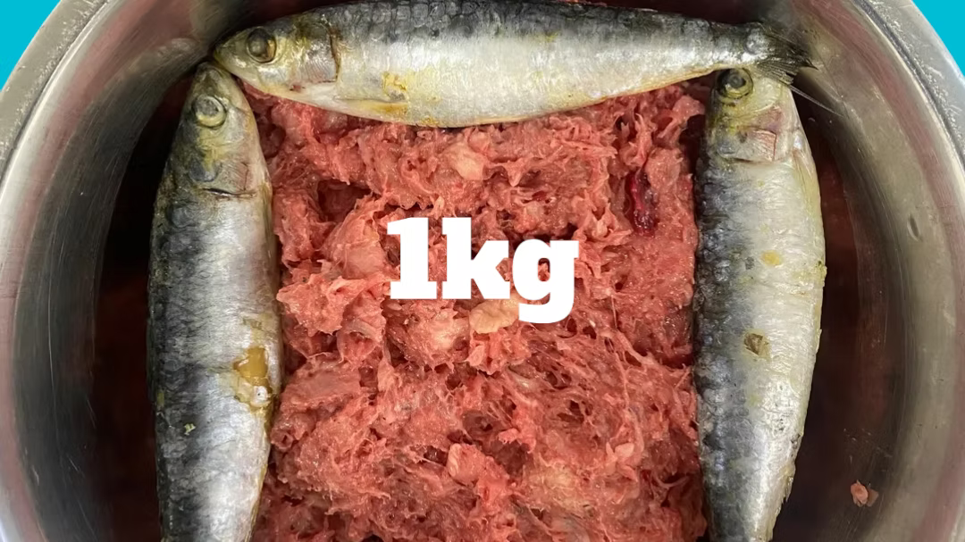 chicken and fish northern raw 1kg