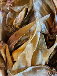 Prize Buffalo Ears 10 Pack