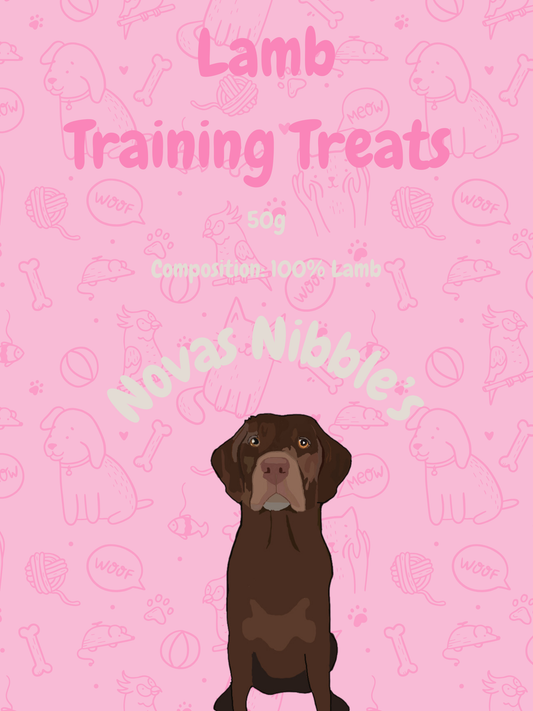 Nova’s Nibbles - Training Treats 50g