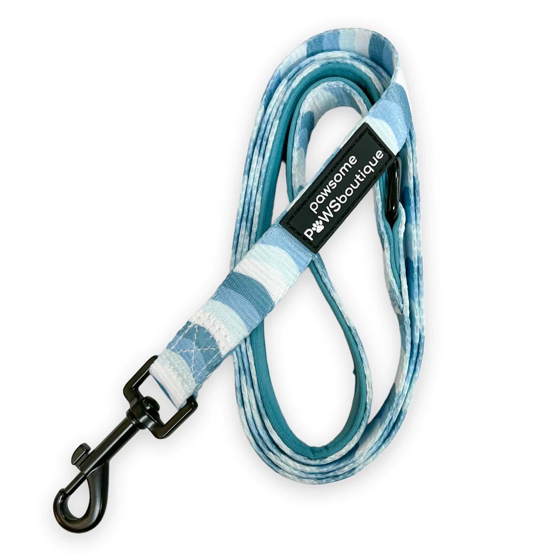 Pawsome Paws Sea Blue Swirl Lead