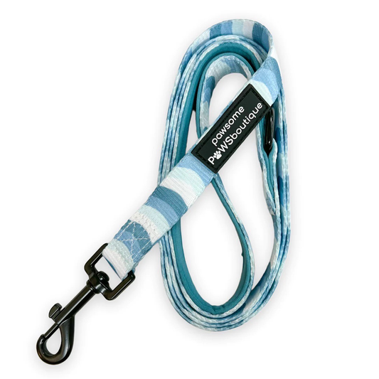 Pawsome Paws Sea Blue Swirl Lead